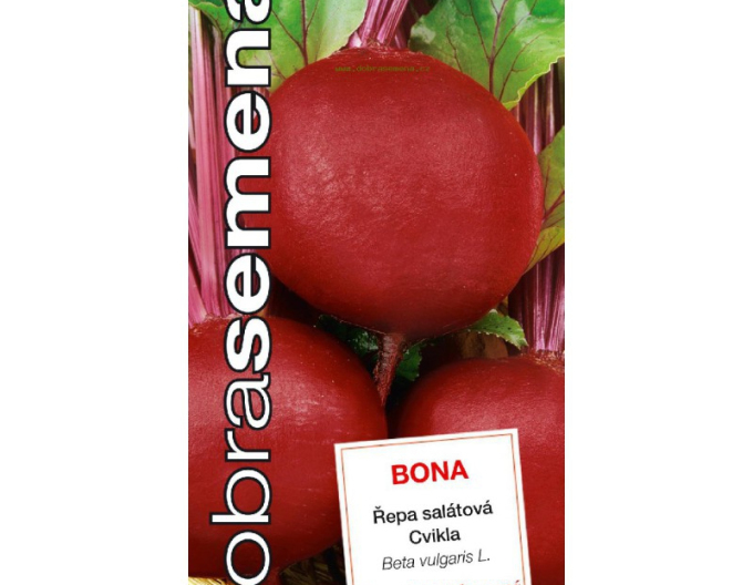 Semințe bune Sfeclă roșie Bona