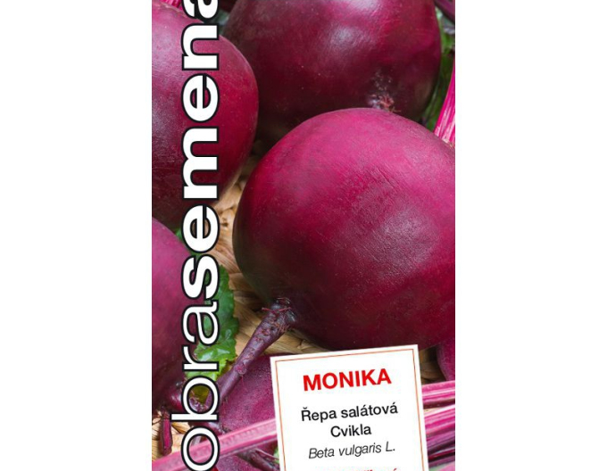 Semințe bune Sfeclă roșie Monika