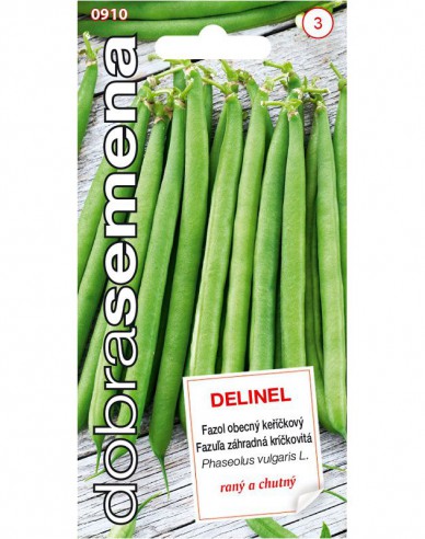 Fasole pitică Delinel