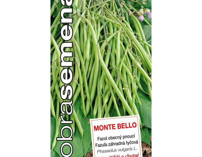 Good Seeds Fasole de grădină "Monte Bello