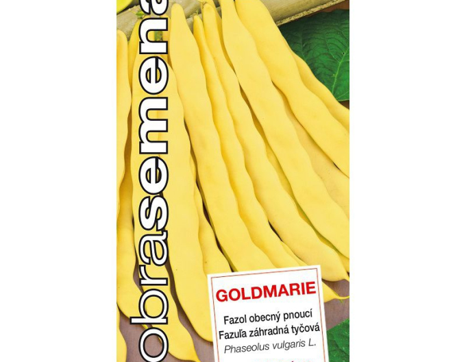 Semințe bune Fasole de grădină "Goldmarie