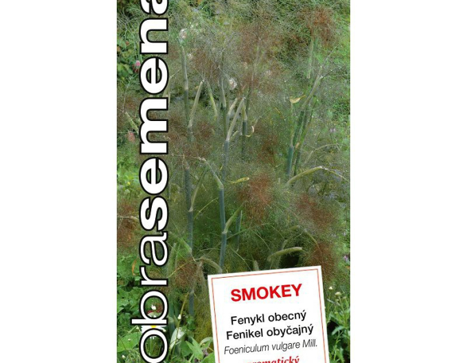 Semințe bune Fenicul Smokey