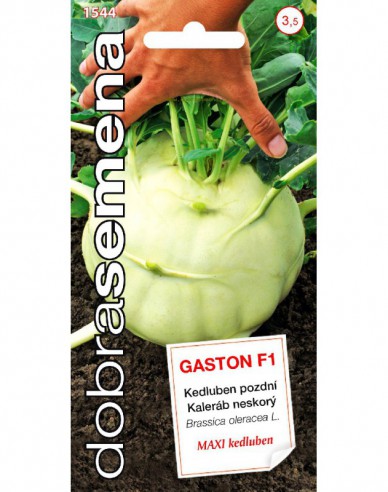 Gulie ´Gaston F1´