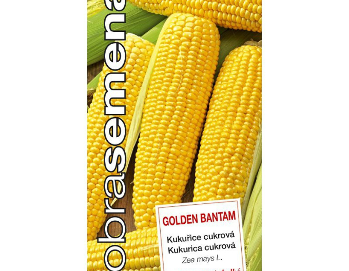 Semințe  Porumb dulce Golden Bantam