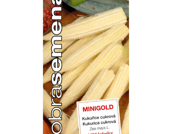 Semințe Porumb dulce Minigold