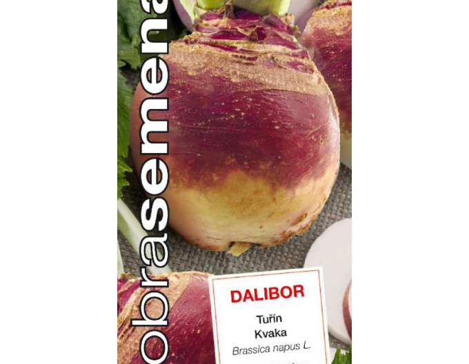 Semințe bune Kvaka ´Dalibor´