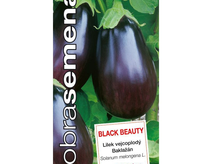Semințe  Aubergine (vinete bulb) ´Black Beauty´