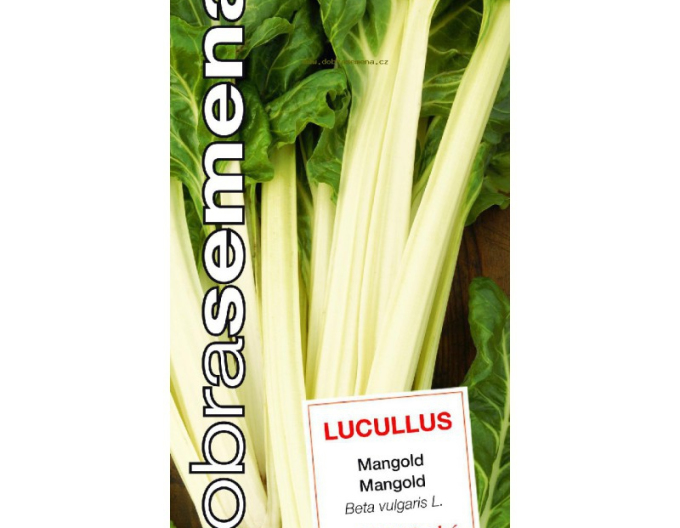 Semințe  Mangold ´Lucullus´