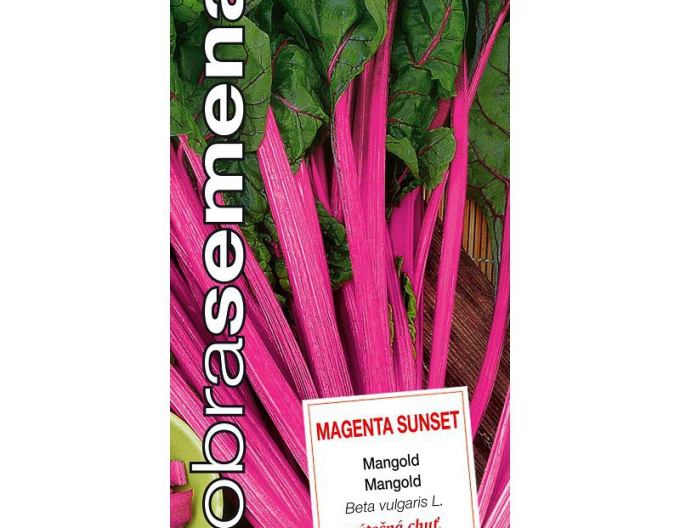 Semințe  Mangold Magenta Sunset
