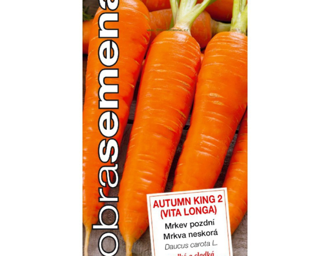 Semințe  Morcov Autumn King 2