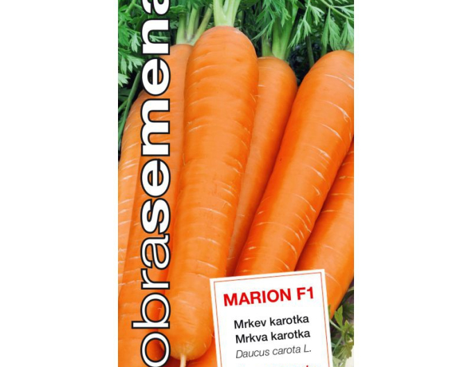 Semințe  Morcov Marion F1´