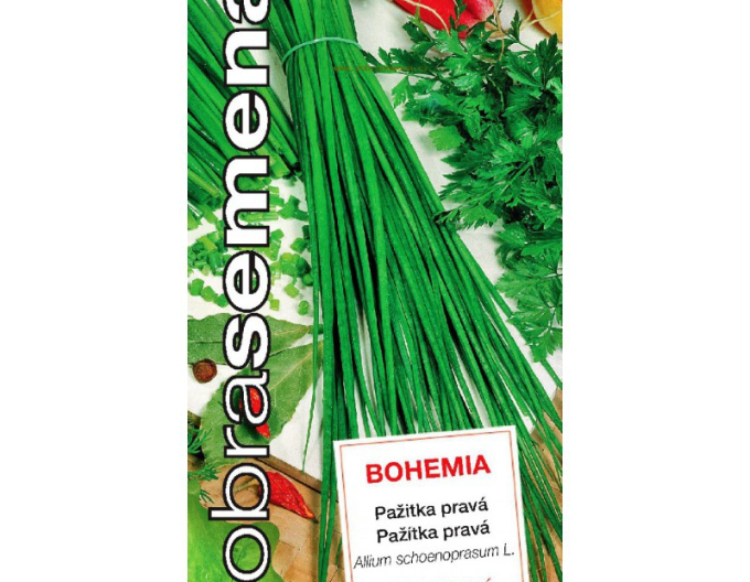 Semințe  Chives ´Bohemia´