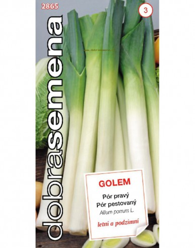 Semințe  Praz cultivat de "Golem