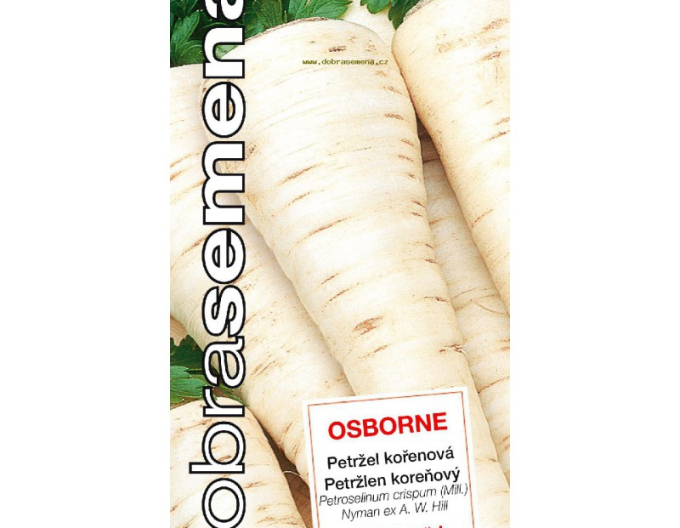 Pătrunjel de grădină Good Seeds - Pătrunjel rădăcină ´Osborne´semințebune