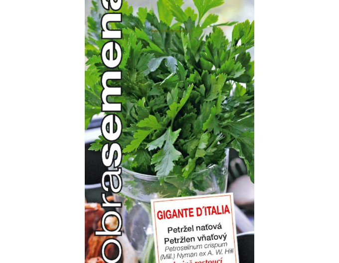Good Seeds Pătrunjel de grădină Gigante DItalia