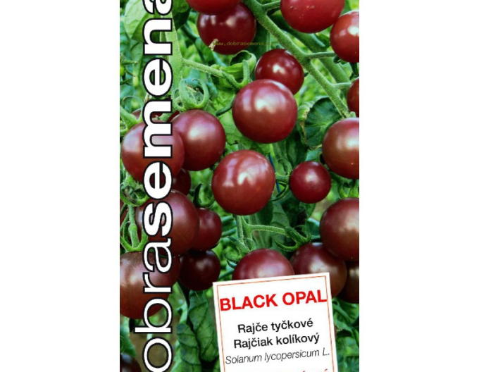 Semințe  Tomate Black Opal