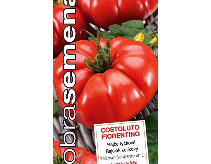 Semințe Tomate Costoluto Fiorentino