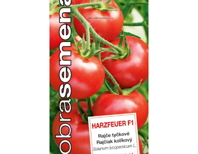 Good Seeds Tomate Harzfeuer F1´