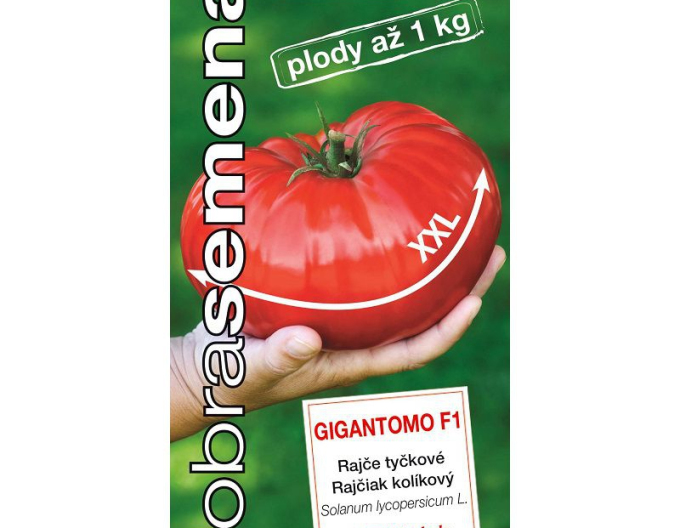 Semințe de tomate cu tulpină Gigantomo F1´