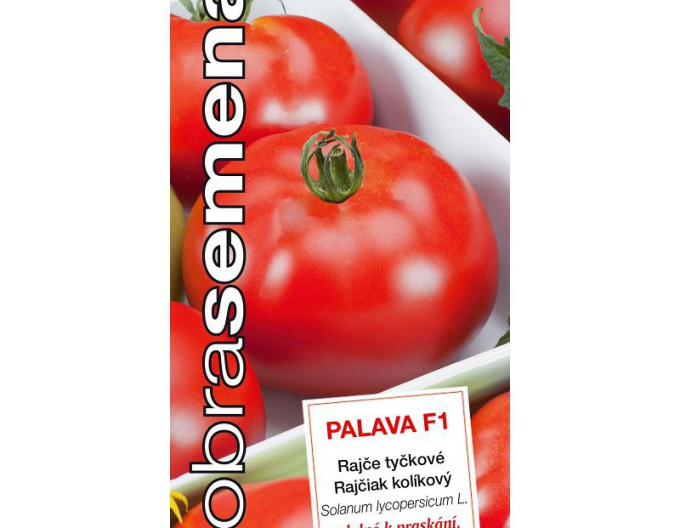 Good Seeds Tomate Palava F1