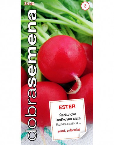 Semințe de ridiche Ester