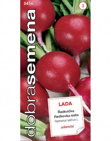 Semințe de ridiche Lada