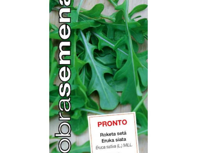 Semințe rucola cu frunze înguste ´Pronto´