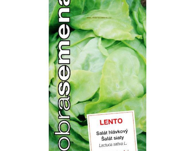 Semințe salată căpățănă Lettuce ´Lento´