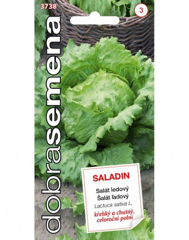 Salată cu cap Saladin