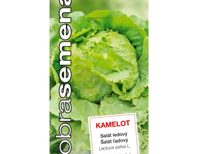 Semințe  Salată Camelot