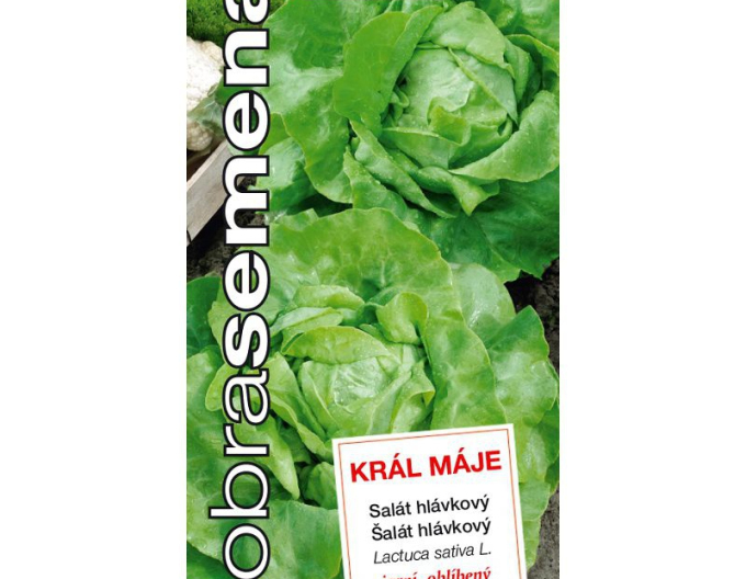 Salată de primăvară  ´King of May I.´