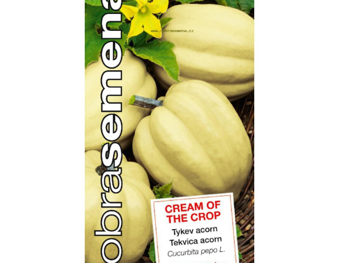 Semințe  Dovleac "Cream of the Crop