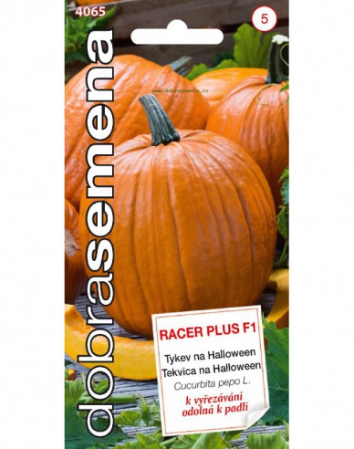 Dovleac gigant Racer Plus F1´