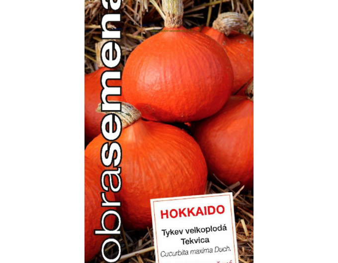 Semințe bune Dovleac gigant Hokkaido