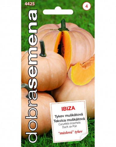 Dovleac muscat ´Ibiza´