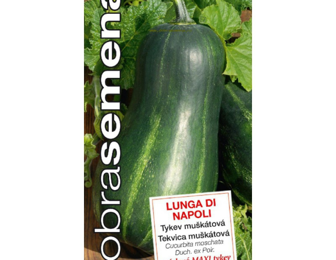 Dovleac muscat  ´Lunga Di Napoli´