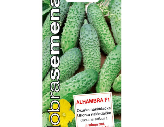 Semințe bune Castraveți pentru însămânțare Alhambra F1