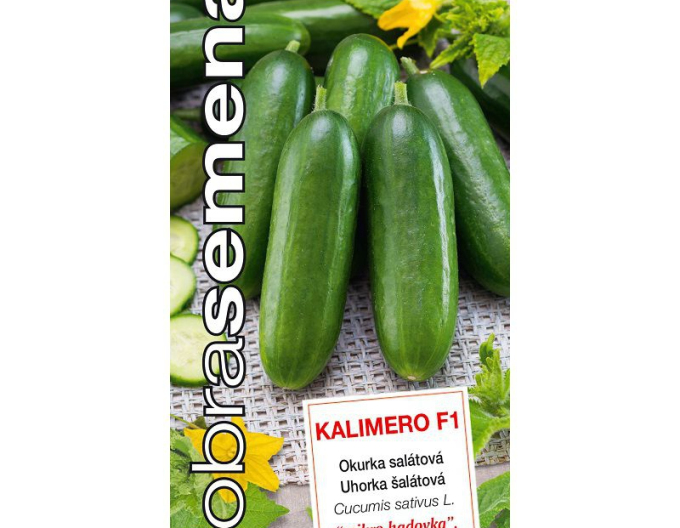 Good Seeds Castraveți de salată Castraveți Kalimero F1