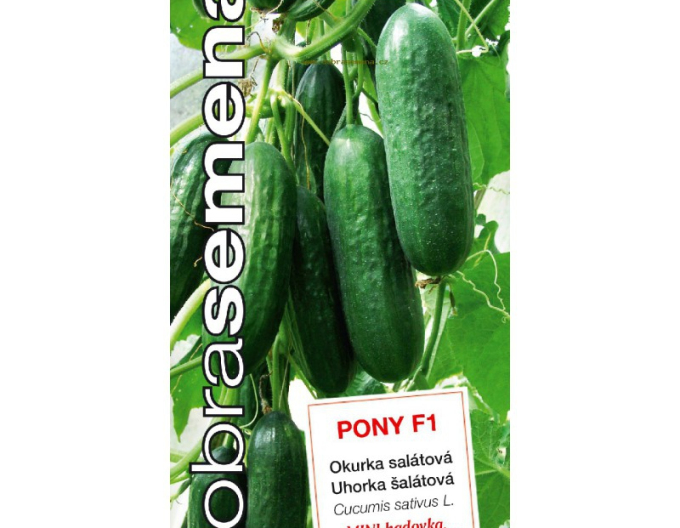 Castraveți de însămânțare "Good Seeds Pony F1