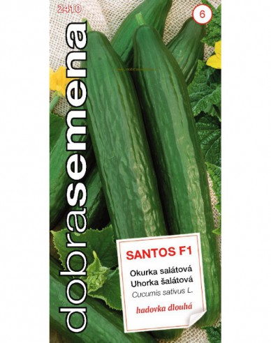 Castravete cultivat pentru salată  ´Santos F1´