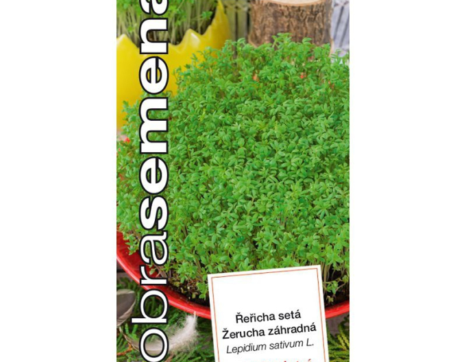 Semințe Good Garden Cress