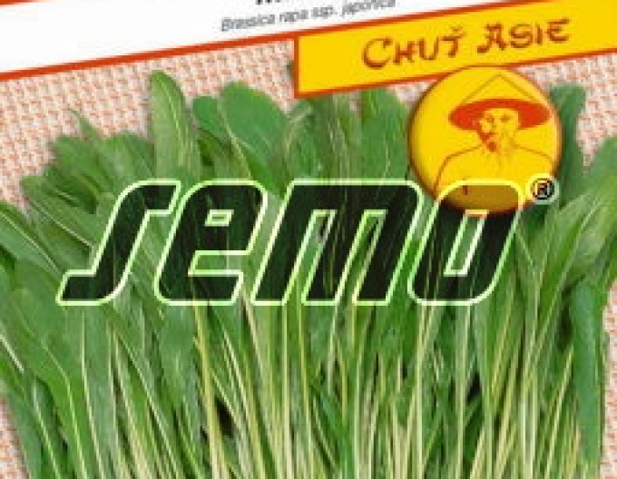 Salată de semințe ´Mibuna´
