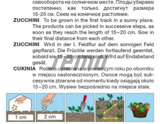 Semințe Dovleac dovleac ´Emperol F1´