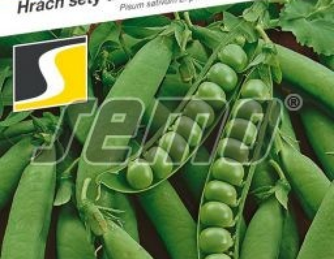 Semințe Semințe de mazăre ´Radovan´ 50g
