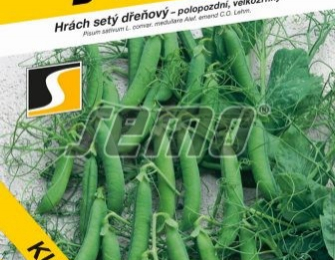 Semințe de mazăre"Curly