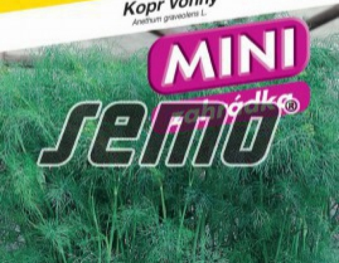 Semințe de mărar parfumate ´Compact´