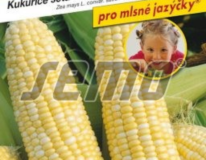 Semințe Porumb dulce Ramondia F1