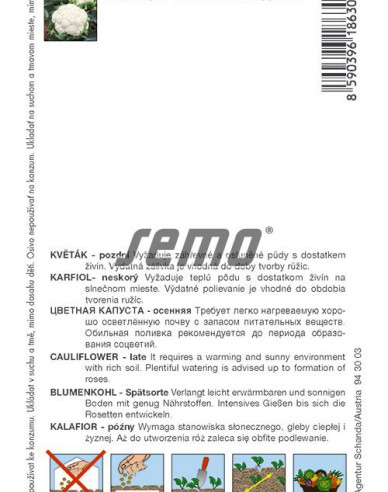 Semo Conopidă  ´Snow Lady´