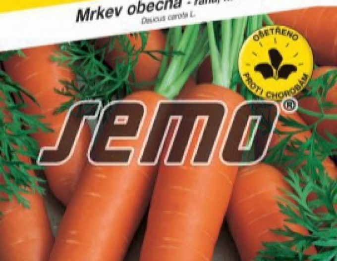 Semințe de morcov ´Nantes 5´