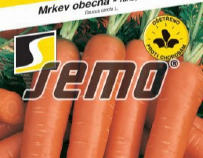 Semințe de morcov Vanda